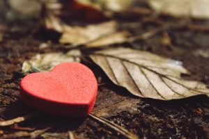 peace and grief